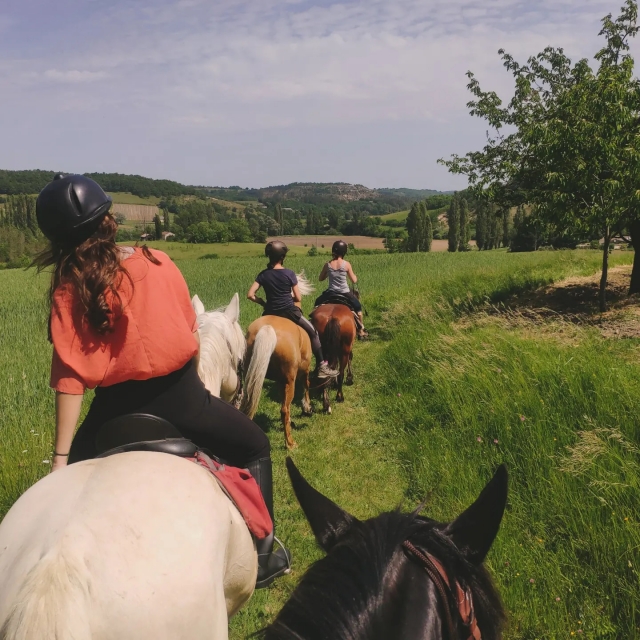  Gruppenreiten 