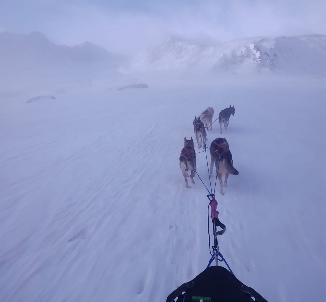  Mushing beginnt! 