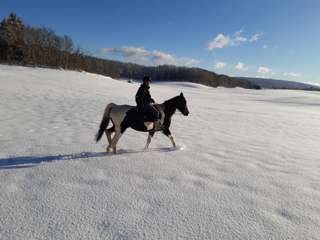  Uscita a cavallo in inverno 