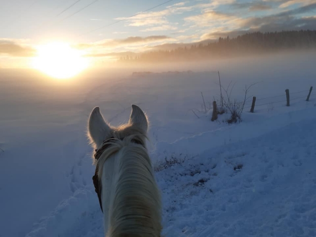  Tramonto durante la passeggiata a cavallo 