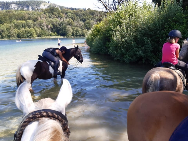  Refreshing horseback ride 