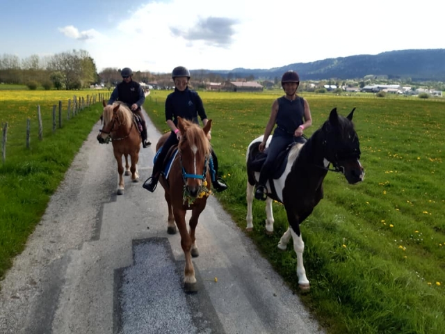  Departure for a horseback ride in the natural landscapes of the Jura 