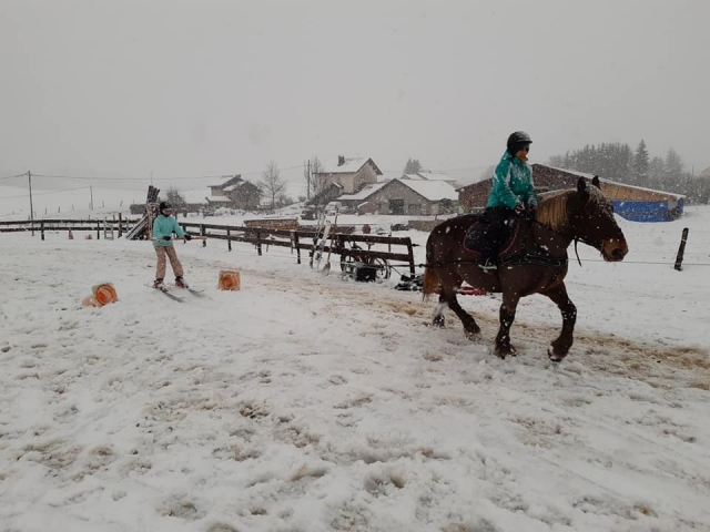  Go skiing in being pulled by a horse 