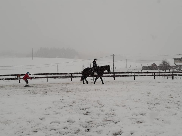  Thrills of sliding on snow 