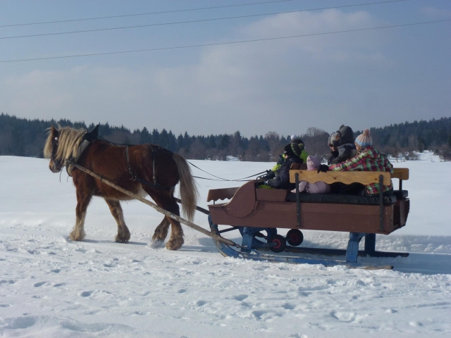  Ride in a horse sleigh with the family 