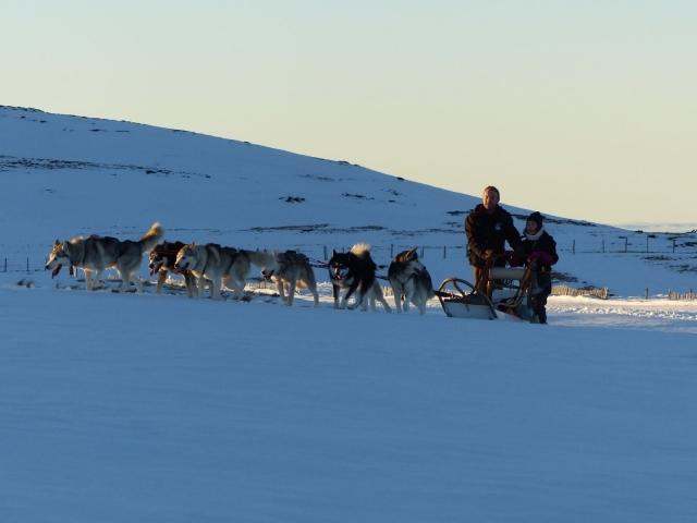  Una tarde de Mushing 