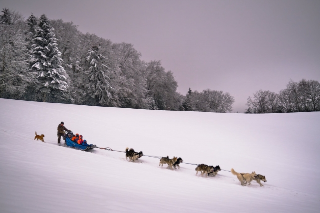  Velocidad y nuevas sensaciones en Mushing 