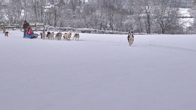  Descubrimiento de Mushing en 63