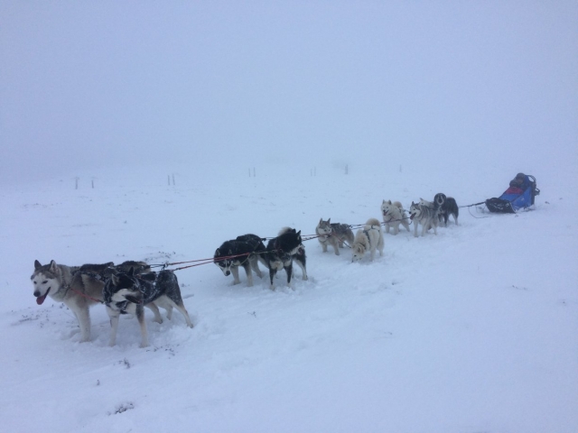  Mejor actividad de invierno 