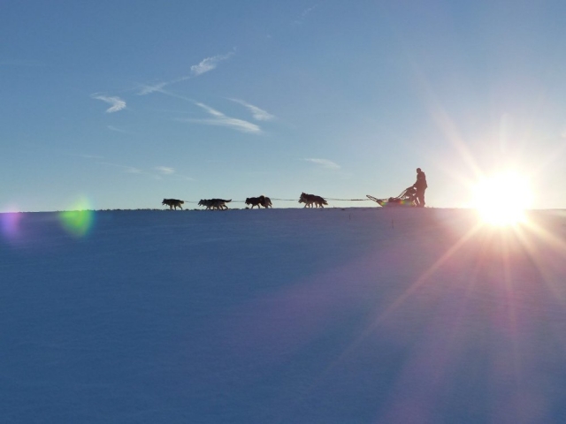  Mushing en Puy-de-Dôme 