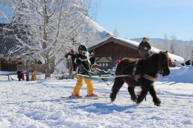 e-19764664-ski-joe-ring-avec-un-poney-pour-enfants166635556016663563464243.jpg