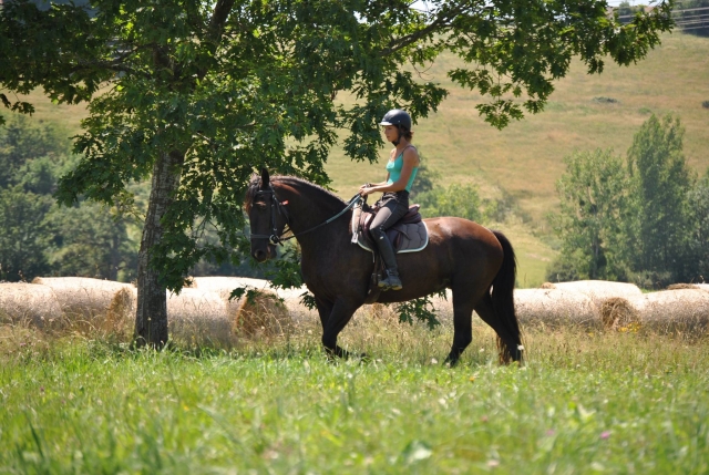  Paseos a caballo por el campo 