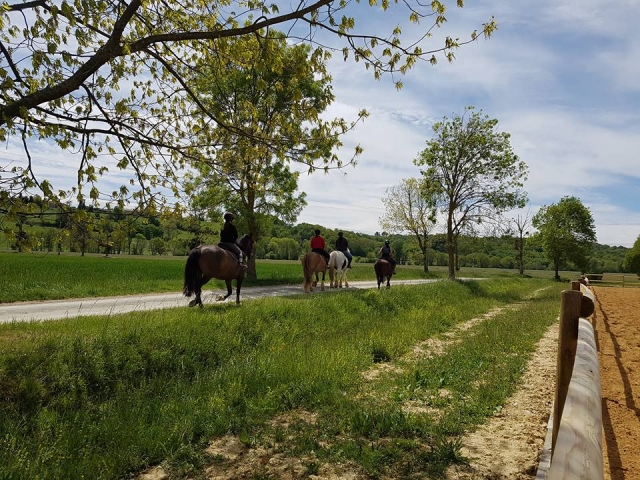  Descubrimiento de los verdes paisajes del Alto Garona a caballo 