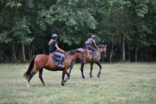  Paseos a caballo en medio del bosque Alto Garona