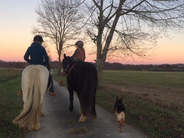  Paseos a caballo al atardecer 