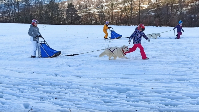 Conduite d'attelage pour enfants