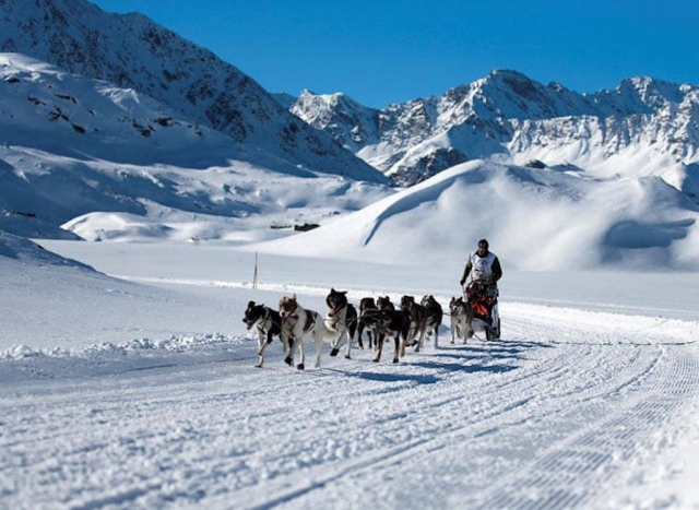 Emozioni durante l'attività mushing 