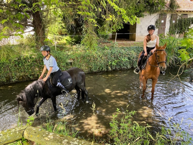 Balade à cheval rafraichissante 
