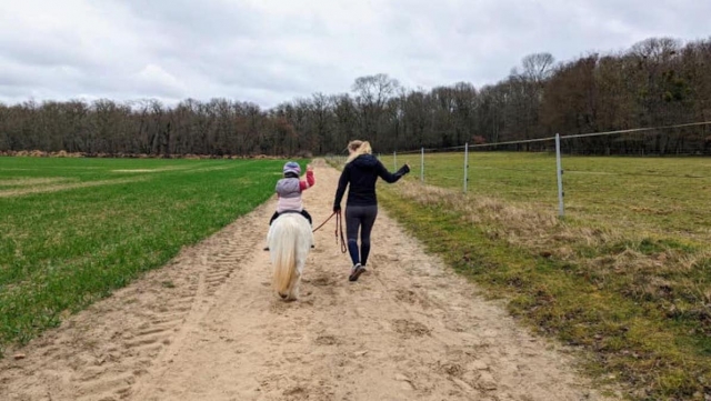 Balade en main à poney en Essonne