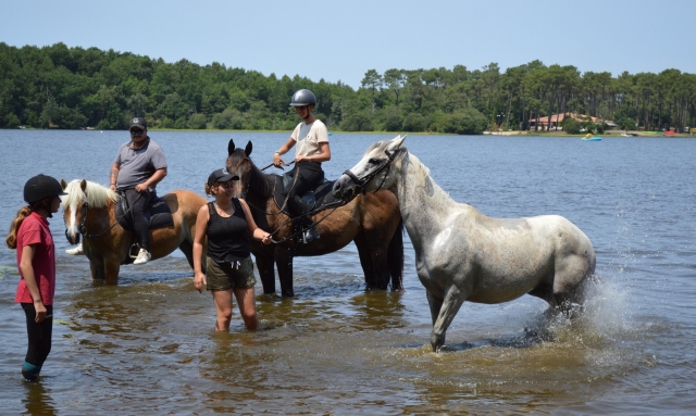  Paseo a caballo en la región de Entre-deux-Mers
