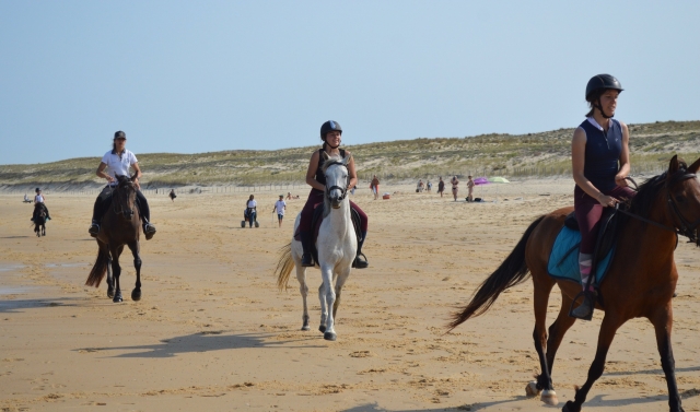  Magníficos paseos a caballo junto al mar en Gironda 