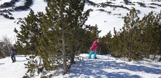  Snowshoe hikes in snow for everyone 