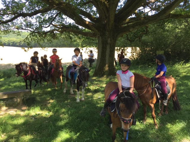  Passeggiate a cavallo nei prati in primavera