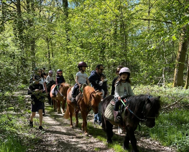  Passeggiate a cavallo nell'Essonne 