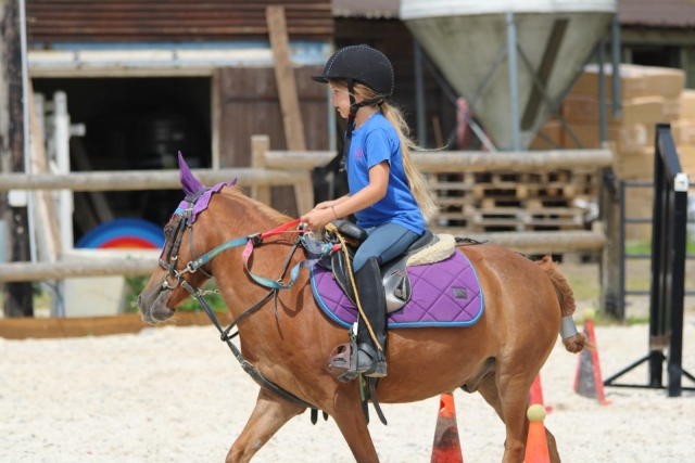  Piccolo cavaliere appassionato 