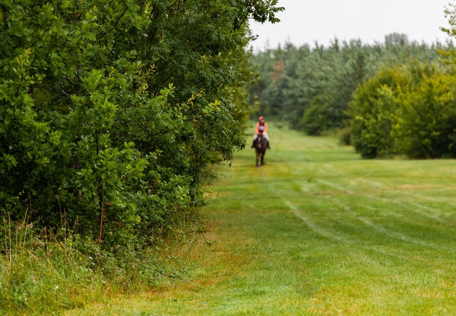  Reiten auf dem Land 