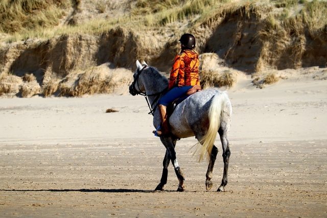  Galoppieren am Strand 