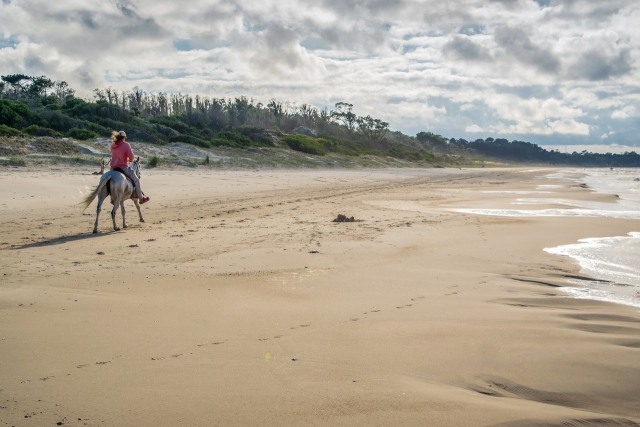  Reiten am Meer 
