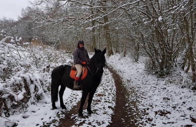  Passeggiate a cavallo sulla neve 
