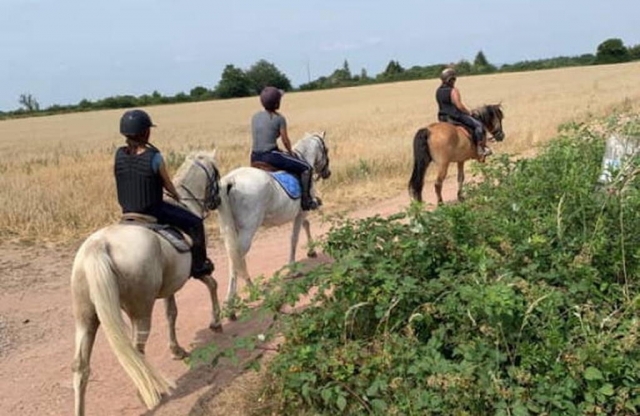  Passeggiate a cavallo di gruppo 