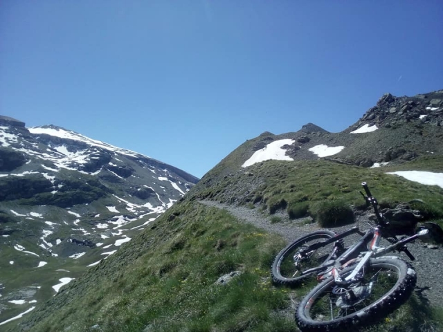  高山山地自行车 
