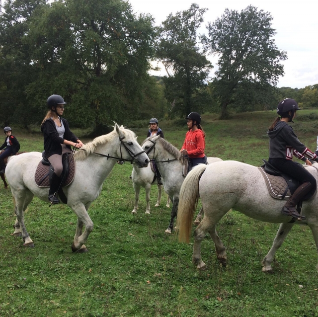  En Gironda, montar a caballo 