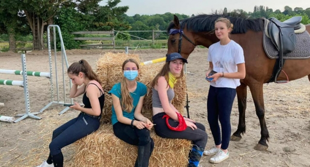  Caballo en el campo de la región Parisienne 