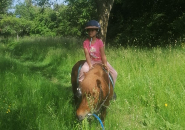  Pony Ride for Children 