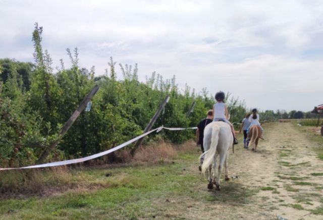  caminata ecuestre en Sena-et-marne 