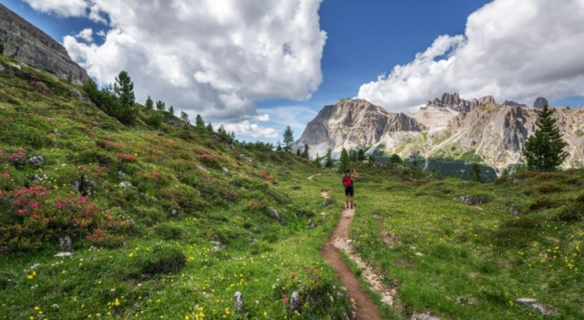  项目中的铁拉达课程运动和放松 