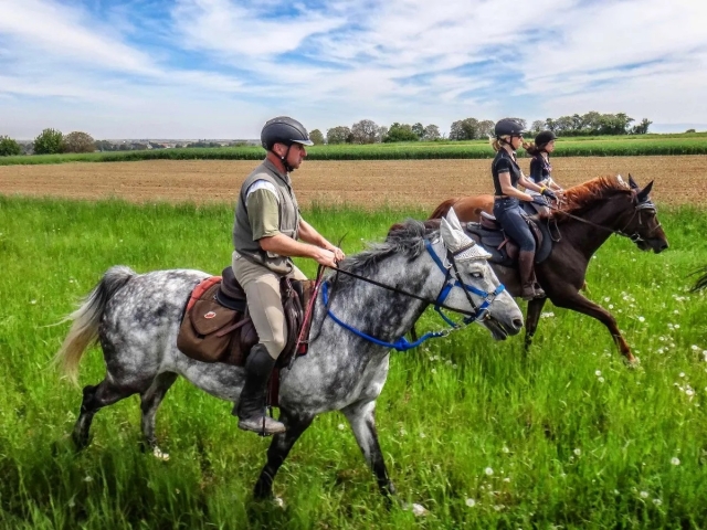  Galopar por los campos 