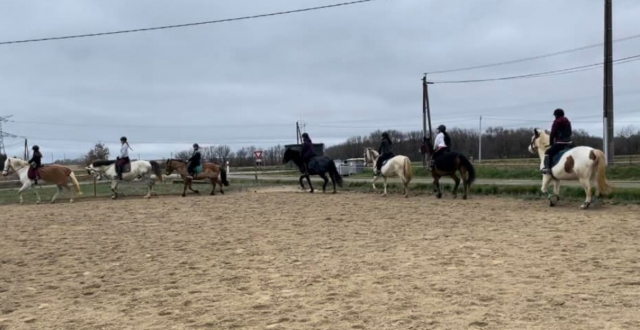  在塞里尼亚克骑马或骑小马 