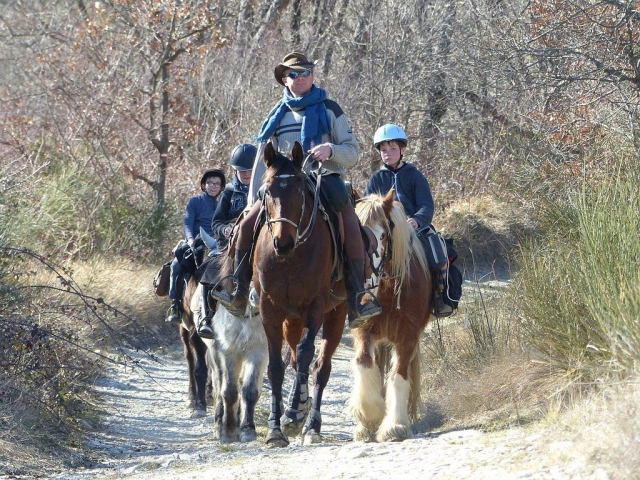 Estará supervisado por nuestro instructor profesional 