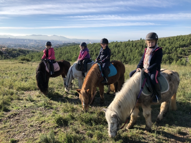  An activity that will delight young and old alike 