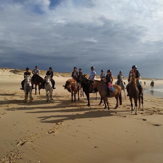 Excursión por la playa 