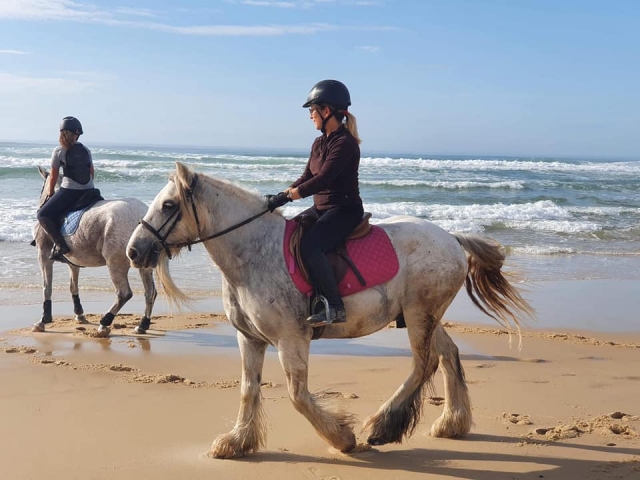  Sube a bordo de tu caballo para un momento excepcional 