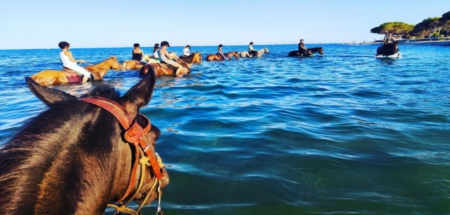  Cruza el mar a caballo durante nuestros paseos a caballo 