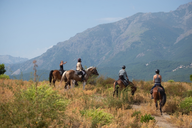 Visitez les plus beaux endroits de Corte à cheval