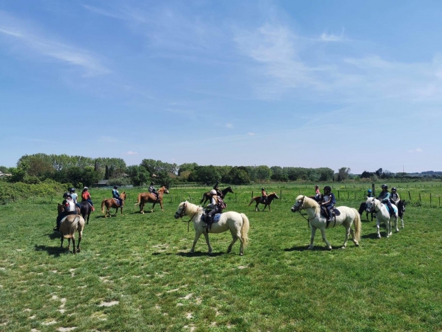  Recorre los campos a lomos de tu caballo 