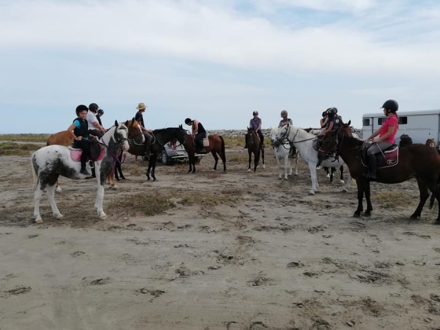  Estarás supervisado por nuestros instructores profesionales 